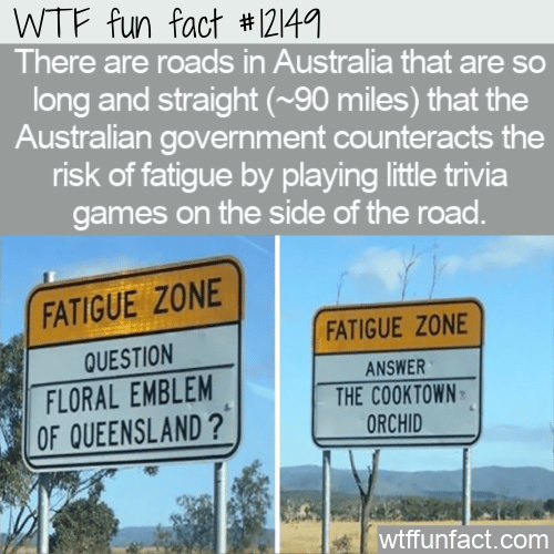 WTF Fun Fact - Fatigue Zone Trivia