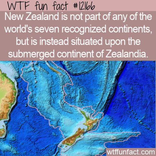 WTF Fun Fact - New Zealand and Zelandia