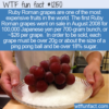 WTF Fun Fact – Ruby Roman Grapes