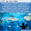 WTF Fun Fact – The Aquarium Barter System