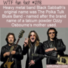 WTF Fun Fact – The Polka Tulk Blues Band