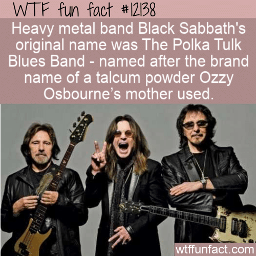 WTF Fun Fact - The Polka Tulk Blues Band