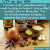 WTF Fun Fact – The Savory Worcestershire Sauce Ingredient
