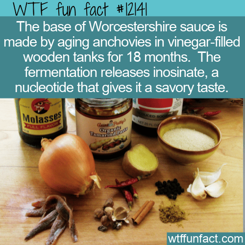 WTF Fun Fact - The Savory Worcestershire Sauce Ingredient