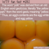 WTF Fun Fact – Yolk Meant The Yellow Part