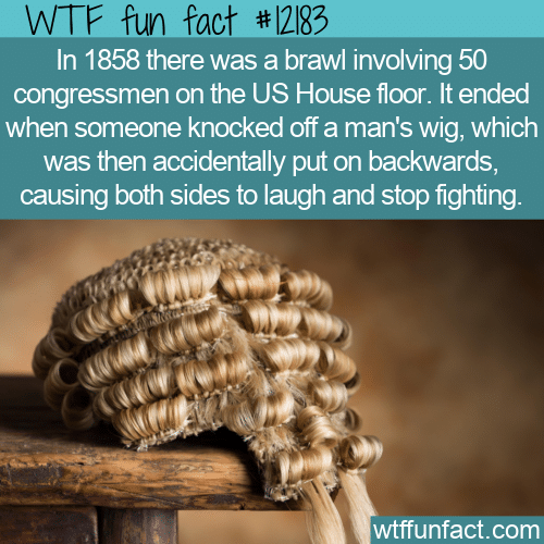 WTF Fun Fact - 1858 US House Of Representatives Brawl