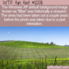 WTF Fun Fact – Bliss Historically A Vineyard