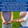 WTF Fun Fact –  Giant Gippsland Earthworm