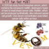 WTF Fun Fact – Honeybee Venom Kills Cancer Cells