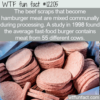 WTF Fun Fact – How Many Cows Does It Take To Make A Burger