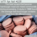 WTF Fun Fact - How Many Cows Does It Take To Make A Burger