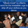 WTF Fun Fact –  Mbuki-Mvuki
