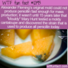 WTF Fun Fact – Mouldy Mary Hunt