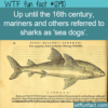 WTF Fun Fact – Sea Dogs