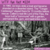 WTF Fun Fact – The Tongan Castaways