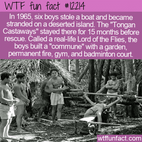 WTF Fun Fact - The Tongan Castaways