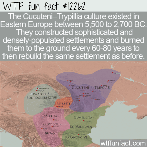 WTF Fun Fact - Cucuteni-Trypillia Culture