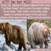 WTF Fun Fact – Fat Bear Week