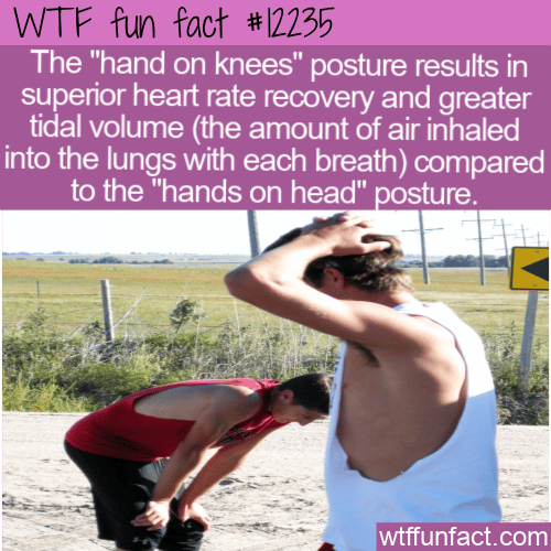 WTF Fun Fact - How To Recover Quicker