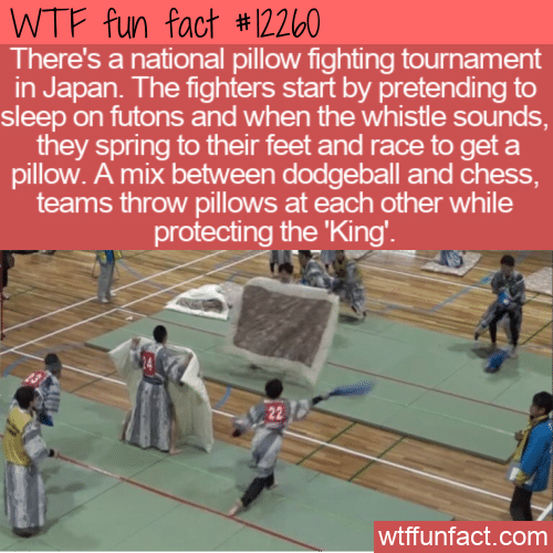 WTF Fun Fact - Japanese Pillow Fighting