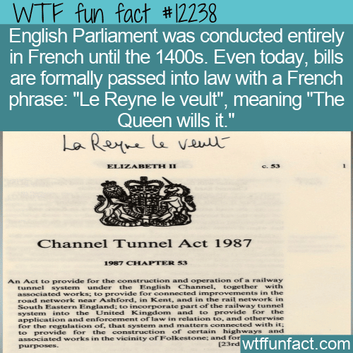 WTF Fun Fact - Le Reyne Le Veult