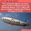 WTF Fun Fact – Official Bird and HoF Inductee