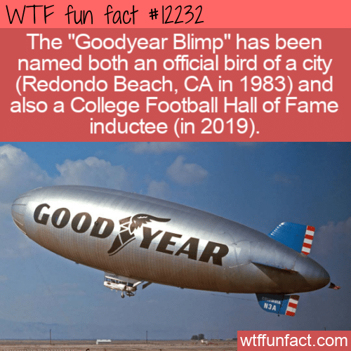 WTF Fun Fact - Official Bird and HoF Inductee