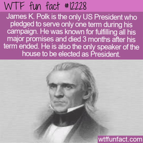 WTF Fun Fact - Only Gonna Do This Once