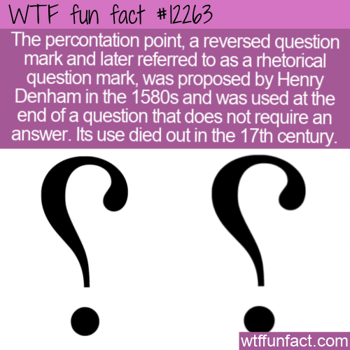 WTF Fun Fact - Percontation Point