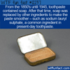 WTF Fun Fact – Soap Toothpaste