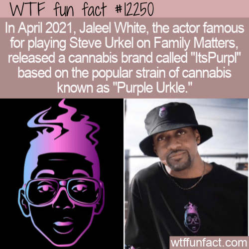 WTF Fun Fact - Steve's Purple Urkle