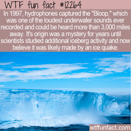 WTF Fun Fact - The Bloop