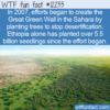 WTF Fun Fact – The Great Green Wall