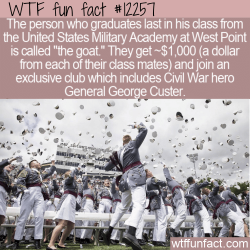 WTF Fun Fact - West Point's Goat