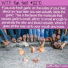 WTF Fun Fact – Allicin