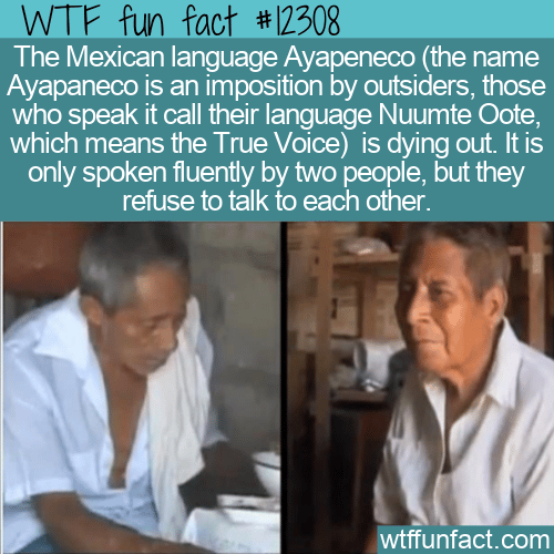 WTF Fun Fact - Ayapeneco