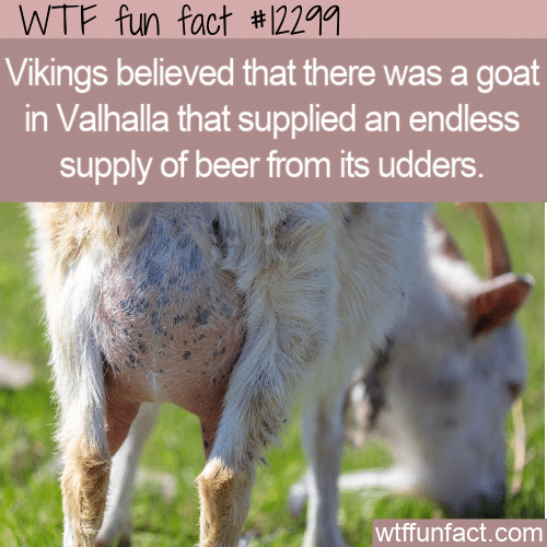 WTF Fun Fact - Beer Source In Valhalla