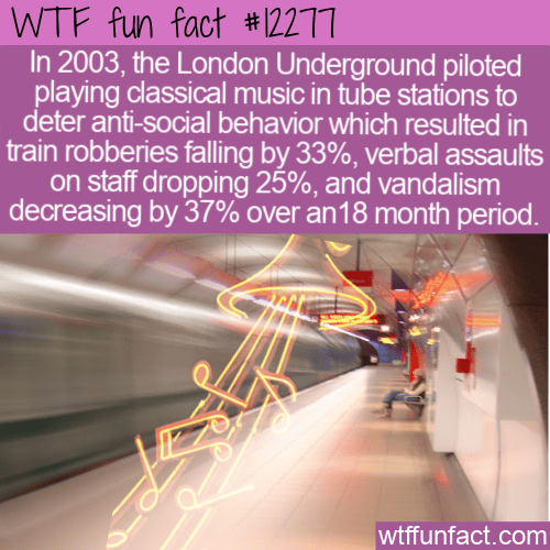 WTF Fun Fact - Classical Tube