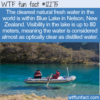 WTF Fun Fact – Clear Blue Lake