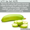 WTF Fun Fact – Green Bananas