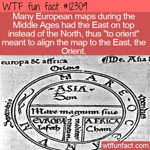WTF Fun Fact - The Orient