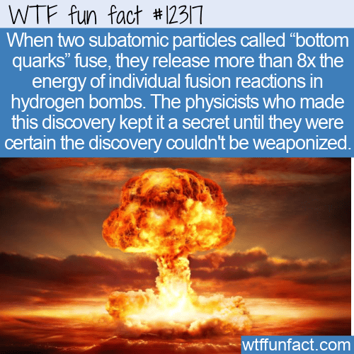 WTF Fun Fact - Bottom Quark Fusion