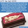 WTF Fun Fact – Doctor’s Lady