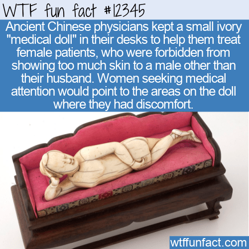 WTF Fun Fact - Doctor's Lady