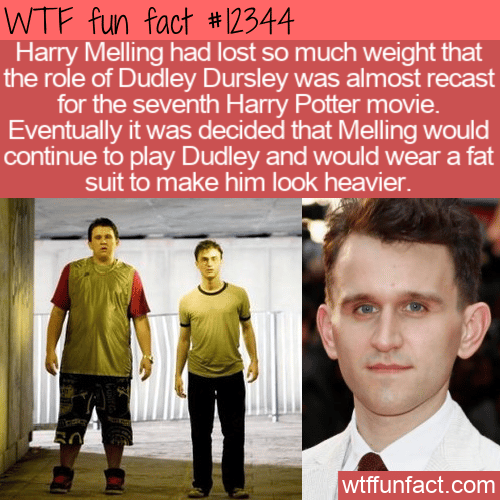 WTF Fun Fact - Dudley Dursley's Weight Loss