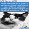 WTF Fun Fact – Felicette Space Cat
