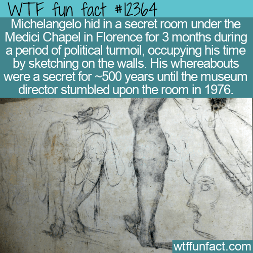 WTF Fun Fact - Hidden Michelangelo
