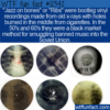 WTF Fun Fact –  Jazz On Bones