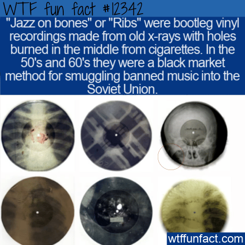 WTF Fun Fact - Jazz On Bones