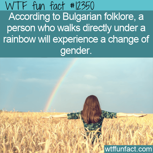 WTF Fun Fact - Magic Rainbow